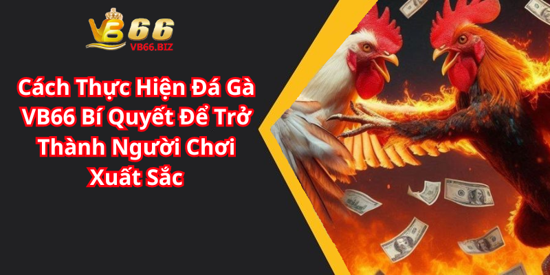 Cách Thực Hiện Đá Gà VB66 Bí Quyết Để Trở Thành Người Chơi Xuất Sắc