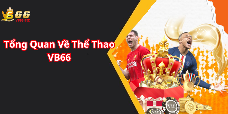 Tổng Quan Về Thể Thao VB66