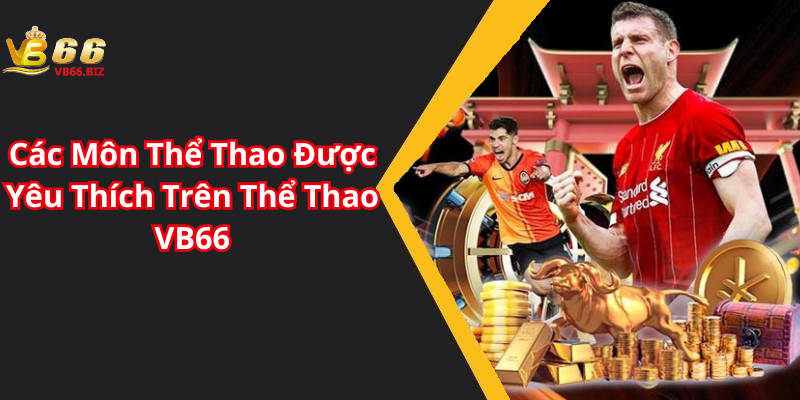 Các Môn Thể Thao Được Yêu Thích Trên Thể Thao VB66