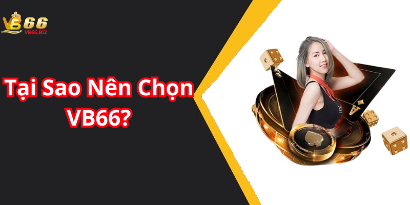 Tại Sao Nên Chọn VB66?