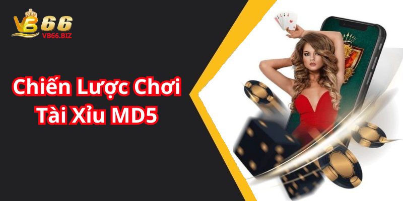 Chiến Lược Chơi Tài Xỉu MD5