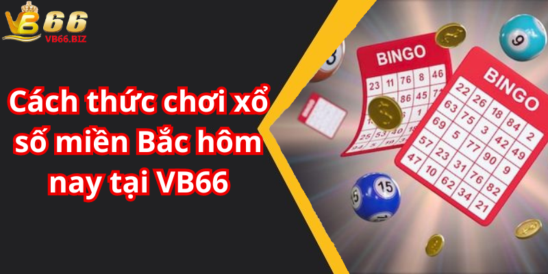 Cách thức chơi xổ số miền Bắc hôm nay tại VB66