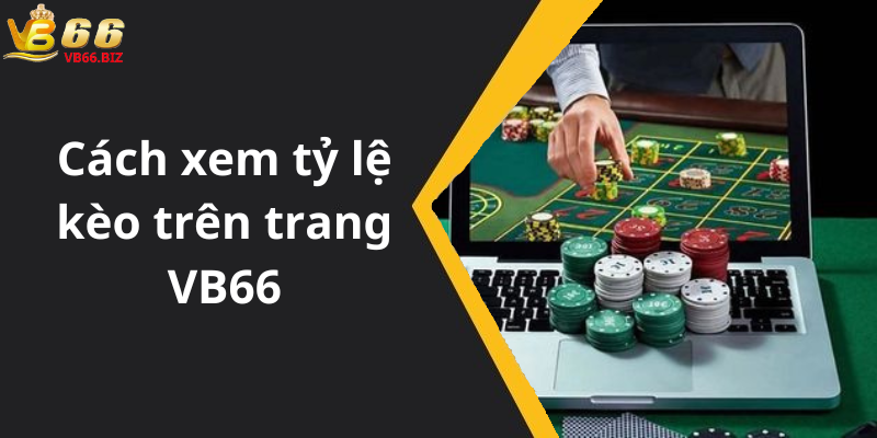 Cách xem tỷ lệ kèo trên trang VB66