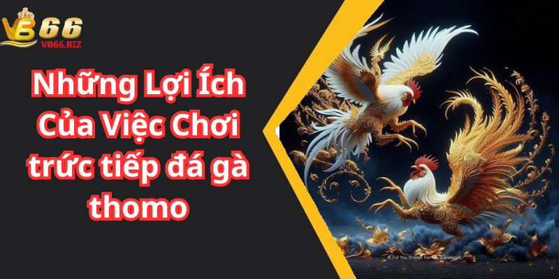 Những Lợi Ích Của Việc Chơi trức tiếp đá gà thomo