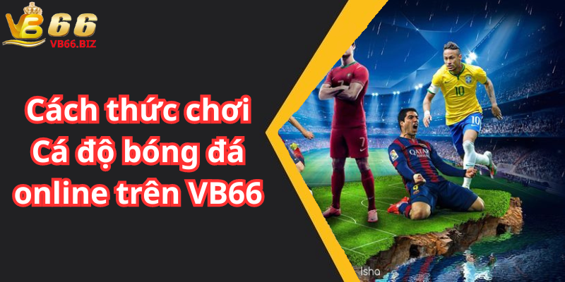 Cách thức chơi Cá độ bóng đá online trên VB66