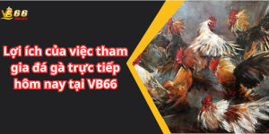 Lợi ích của việc tham gia đá gà trực tiếp hôm nay tại VB66